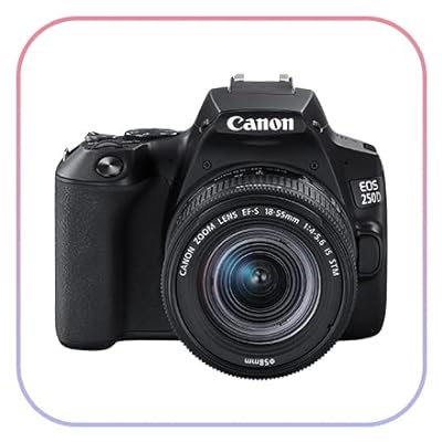 cameras
